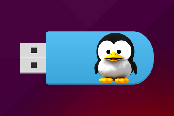 如何设置格式彩色旋转优盘或从 Linux 终端的 USB 内存 - 教授-falken.com