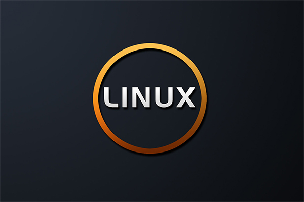 Nur die Verzeichnisse mit den Linux-ls-Befehl auflisten - Prof.-falken.com
