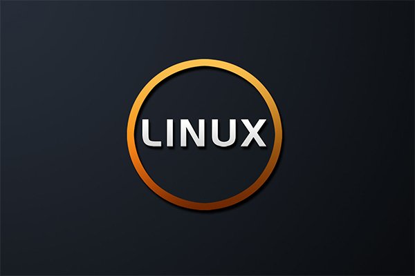 Cómo mostrar la memoria disponible en tu Linux - professor-falken.com